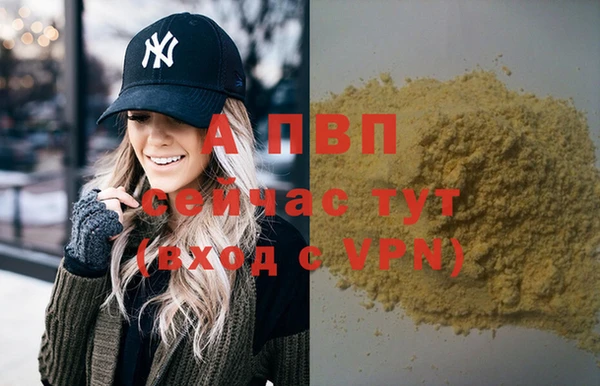 ешки Верея